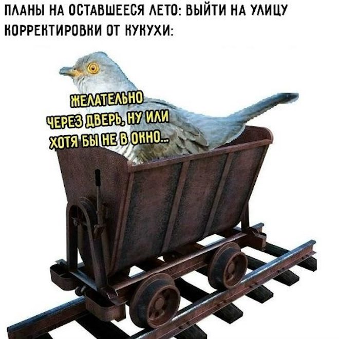 картинка 1aeae83bfa lovite porciju pozitiva svezhij sbornik shutok memov i prikolov iz socsetej 17