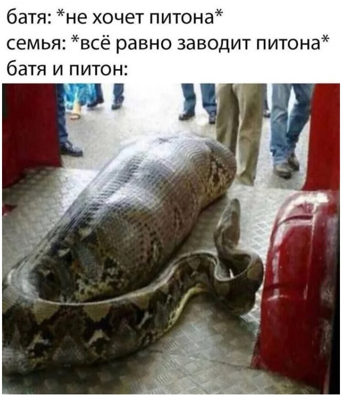 картинка 1d06decfbf novyj sbornik memov zarjad pozitiva na ves den 7