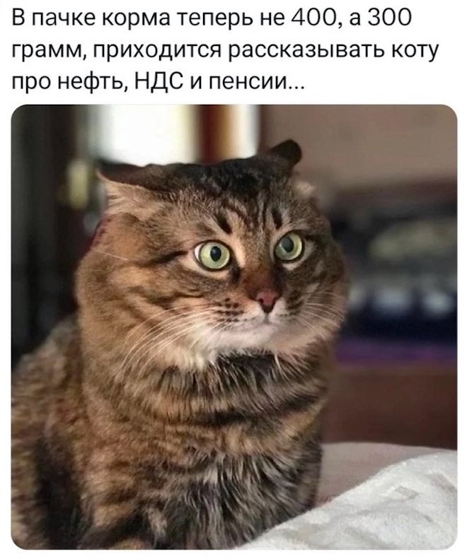 картинка 1d47459928 ustali ot budnej my znaem kak vam pomoch predstavljaem nash svezhij sbornik prikolov 2