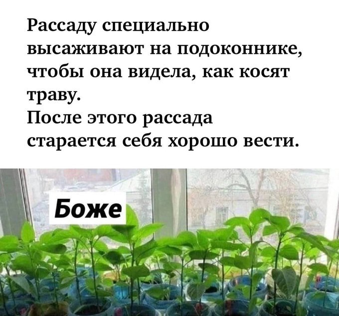 картинка 1dd9c2ad5c 000
