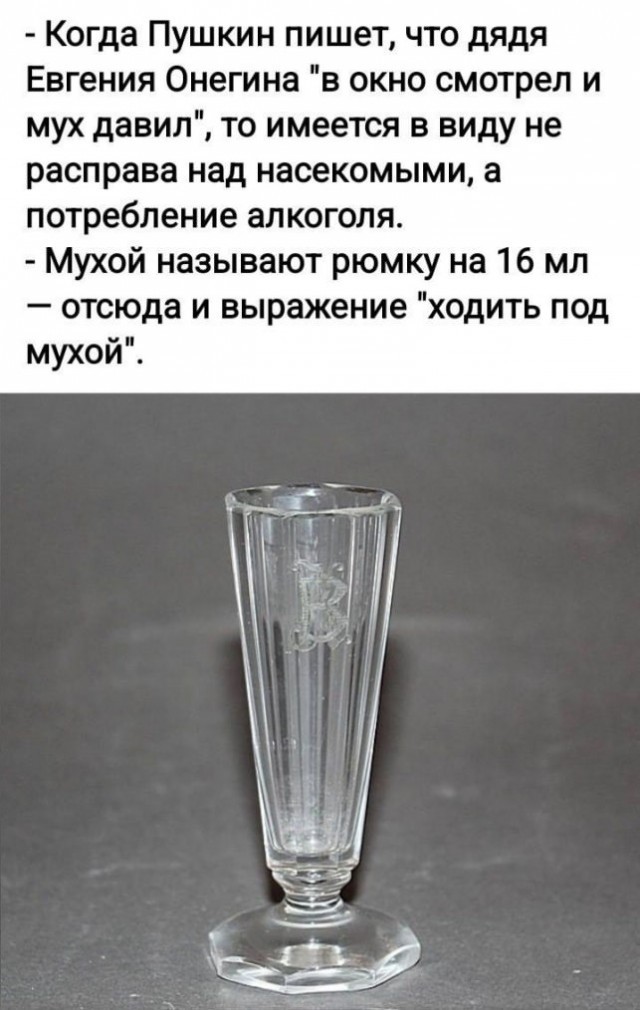 картинка 1deb74b30e novyj sbornik samyh smeshnyh memov zarjazhaemsja pozitivom 6
