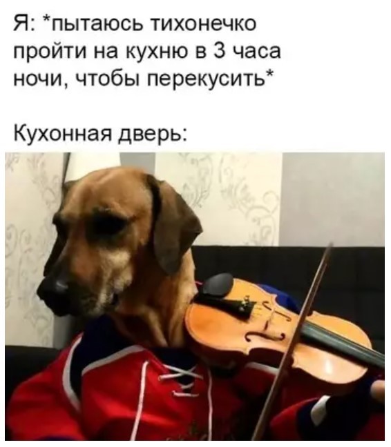 картинка 216e3e2655 21031849