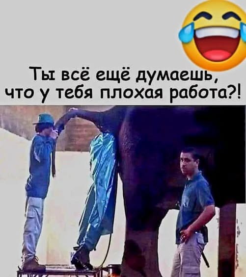 картинка 21848490b8 21046497