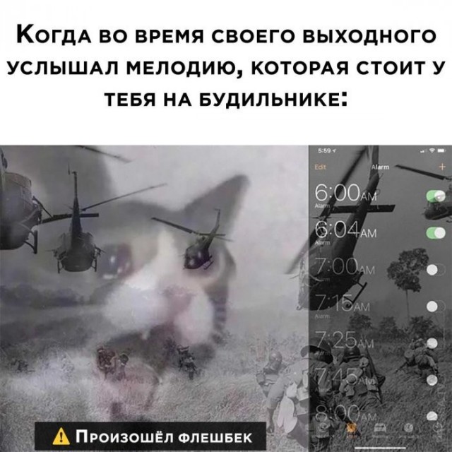 картинка 2305a20b96 21000831