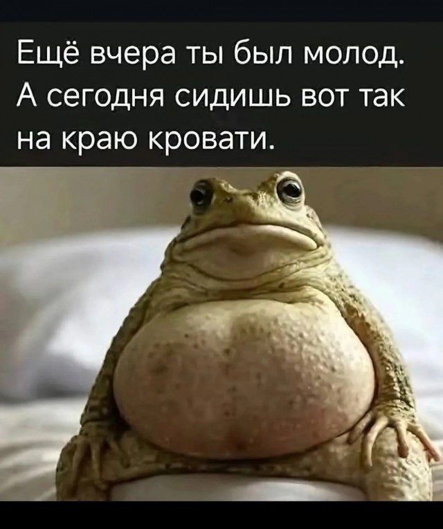 картинка 2583e70d1b 21045907