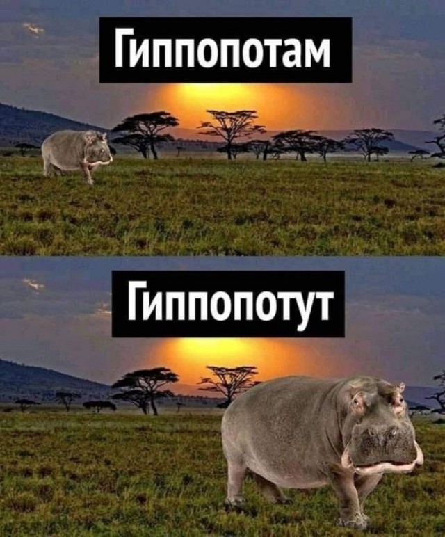 картинка 25cba1b151 21045758