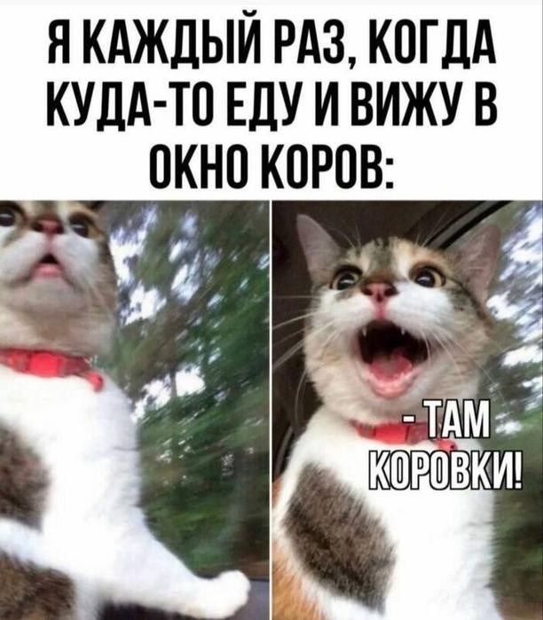 картинка 271e012358 pjatnica vremja dlja ulybok zarjazhaemsja pozitivom pered vyhodnymi 7