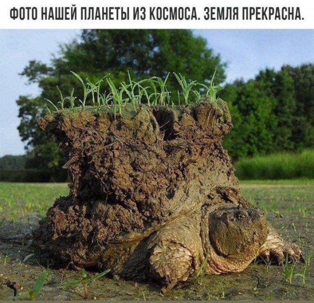 картинка 27b33e727b 21003457