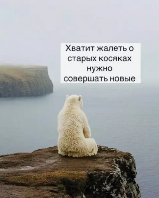 картинка 290c9db225 21031867
