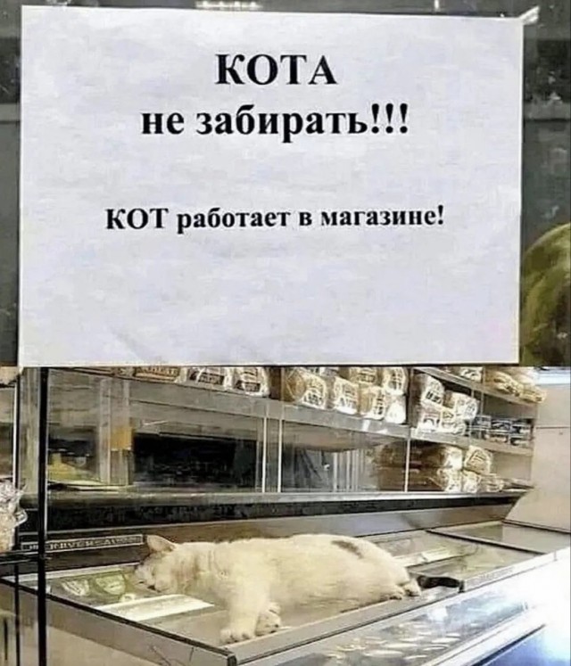 картинка 29c56487c3 21033187