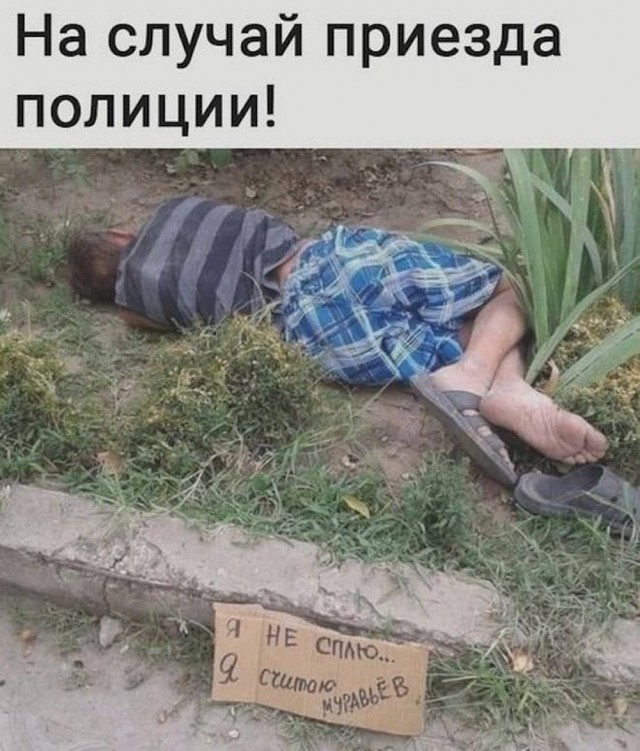 картинка 2a0091c06f 21031320