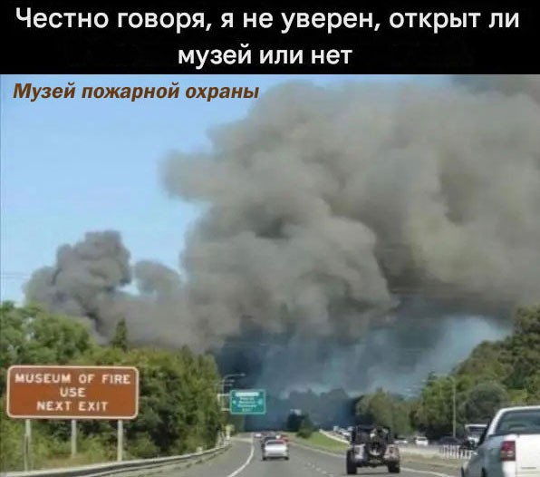 картинка 2ad2a3d65e 21001462
