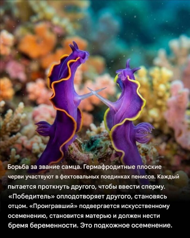 Поднимаем настроение: порция юмора, чтобы день стал чуточку светлее 😄 сейчас, собрали, появилась, улыбка, чтобы, картинок, забавных, мемов, шуток, свежих, адресу, хочется, точно, «срочно», «надо», забыть, минут, забот, отвлечься, выдохнуть