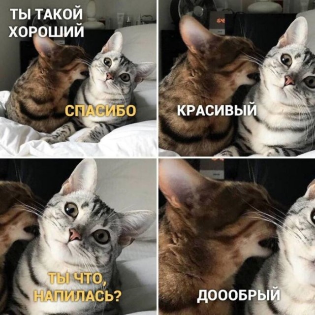 картинка 2e50b3a149 21045219