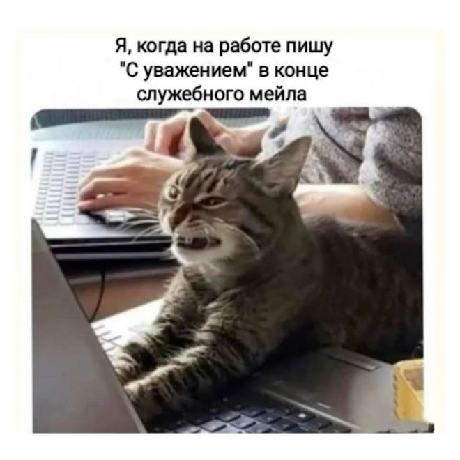 картинка 2f8b2b3a72 ustali ot budnej nuzhen zarjad pozitiva togda vam sjuda 11