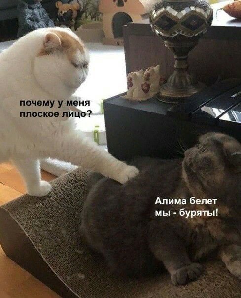 картинка 30e6239e04 00000000000000000000