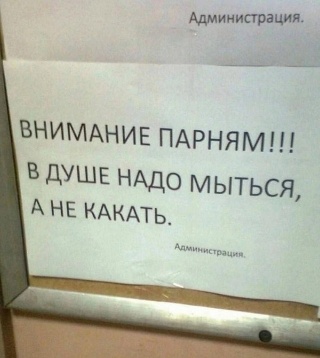 картинка 333f3f8daa 21003631