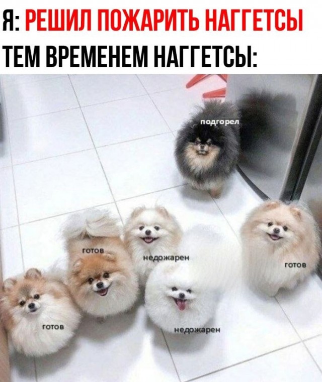 картинка 3347254f8f 21045460