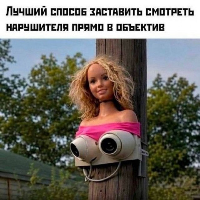 картинка 3660f40d42 21031305