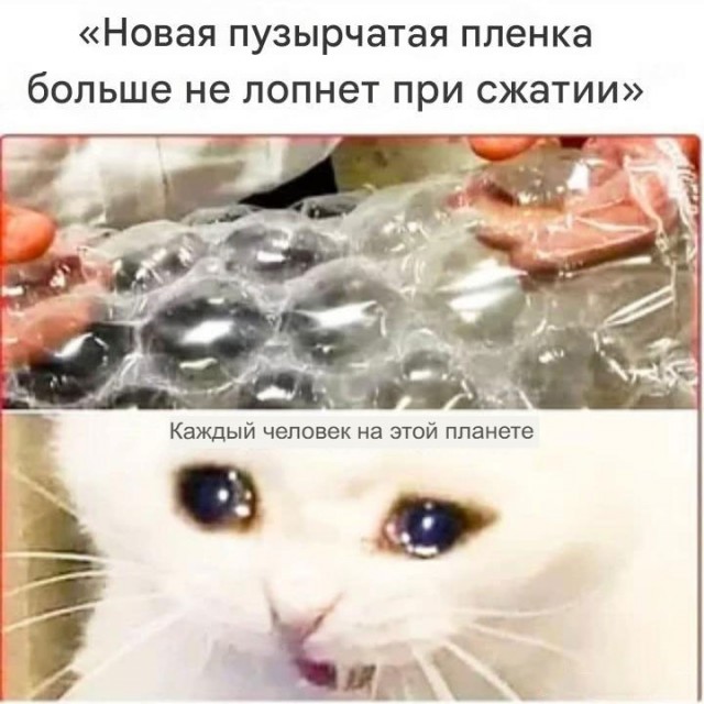 картинка 366acb96f5 21019063