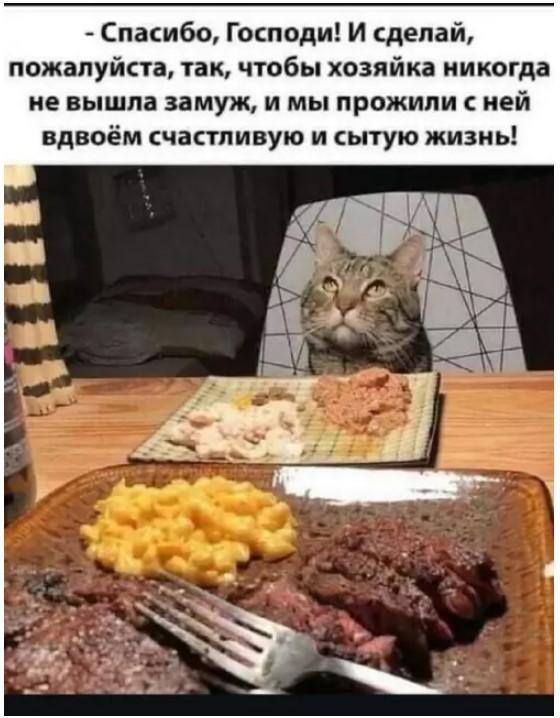 картинка 377a3b857b 21031865
