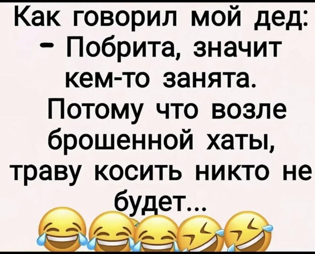 картинка 381a157538 21017182
