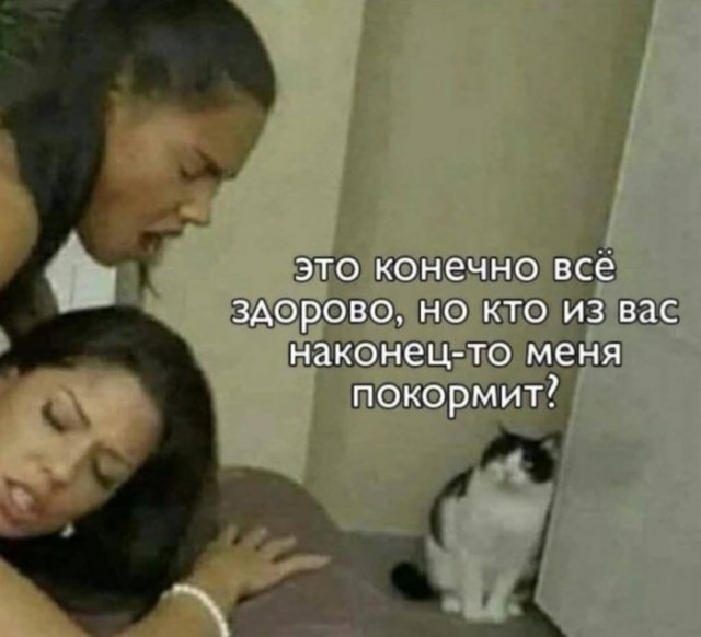 картинка 3a17f00eb7 21045228