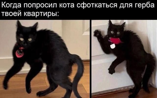 картинка 3bb1bf6f7a 21019220