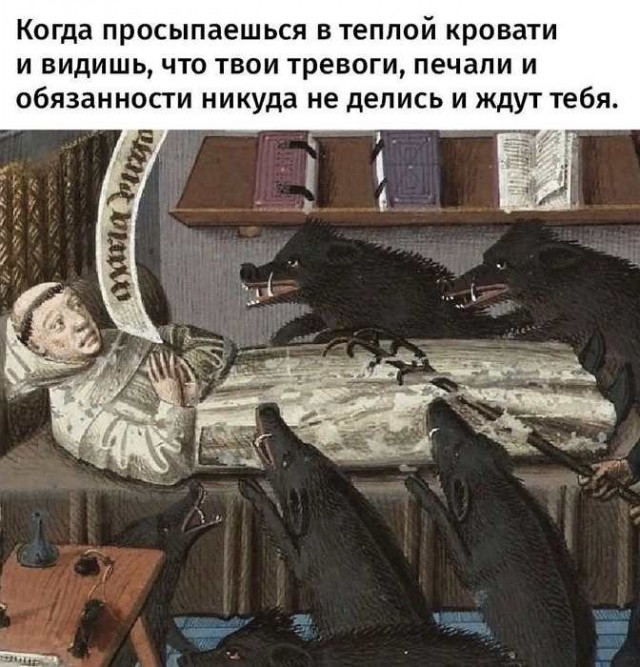 картинка 3dc90c26fb 21003442