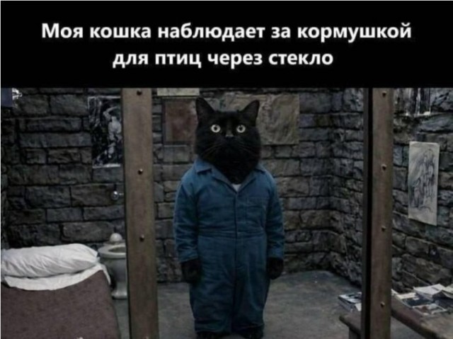 картинка 4039023d86 21031841