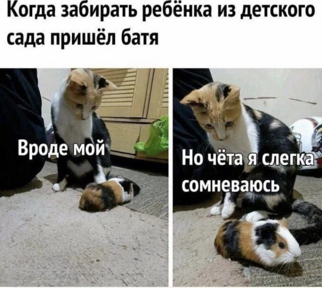 картинка 427fceacef 21033189