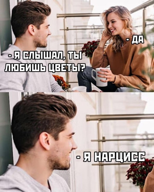 картинка 438080e553 21083451
