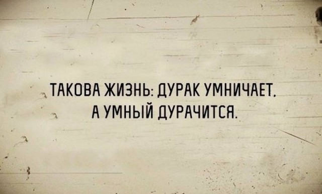 картинка 44204a6468 21045524