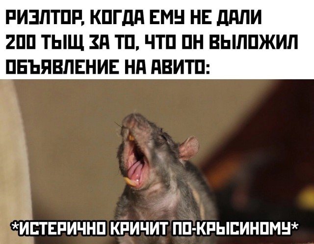 картинка 480bd6b9eb 21045809