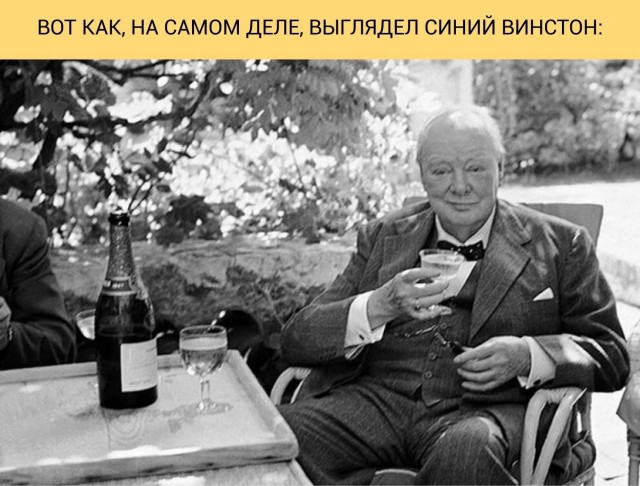 картинка 4811021205 21061110