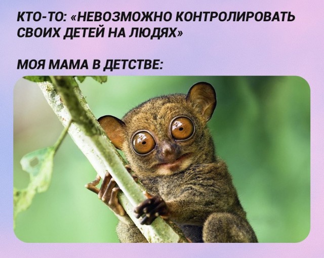 картинка 4c5740b4df 21038530