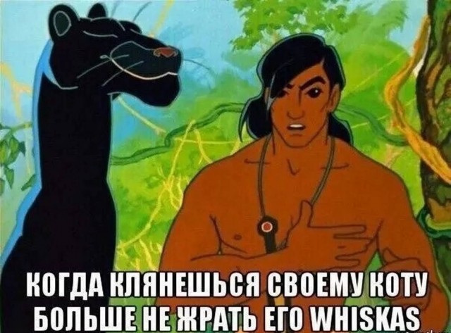 картинка 4c910b506a 21031294