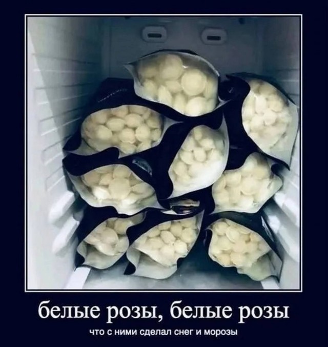 картинка 4e00a338bd 21031288