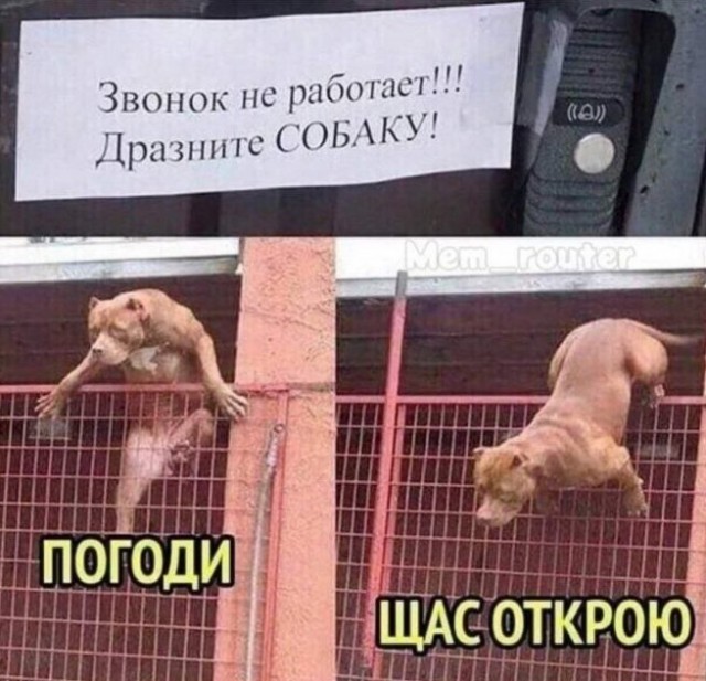 картинка 4e029d9e5a 21031869