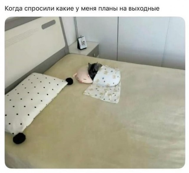 картинка 4f5f6875f9 21018866