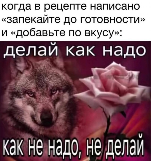 картинка 51c0707ff7 21032355