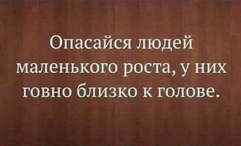 картинка 528990db81 21002251
