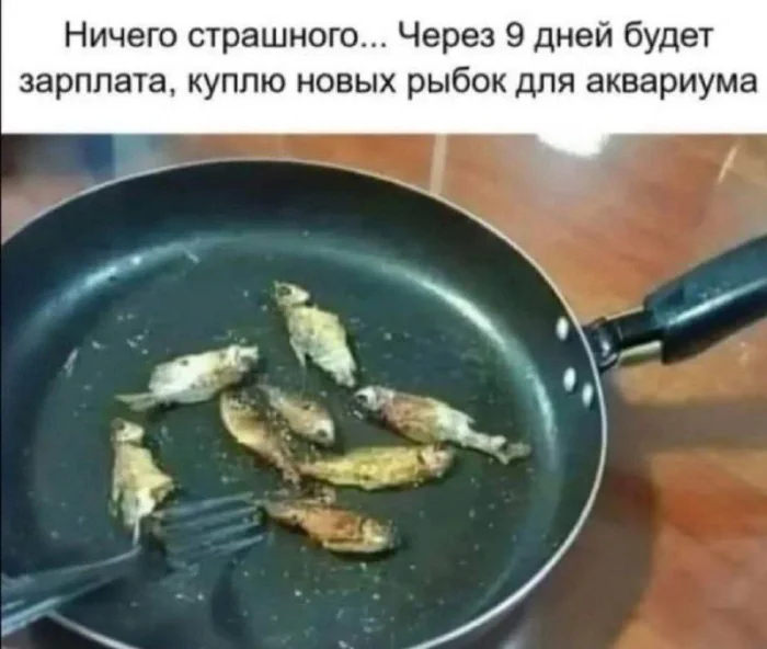 картинка 557c3b345a zarjazhaemsja pozitivom sbornik samyh smeshnyh memov i kommentariev iz socsetej 5