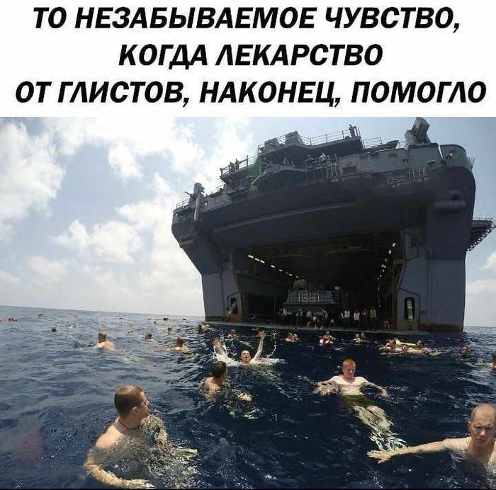картинка 55892b9949 21038545