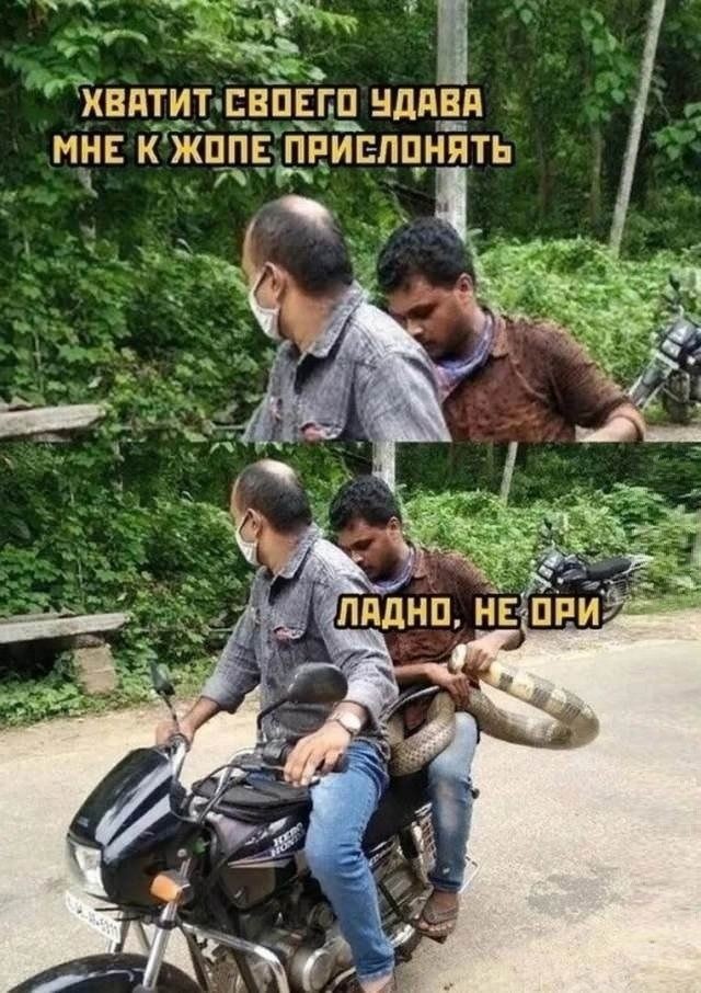 картинка 55904c59fe ustali ot banalnosti hotite chego to poostree togda vam sjuda 18