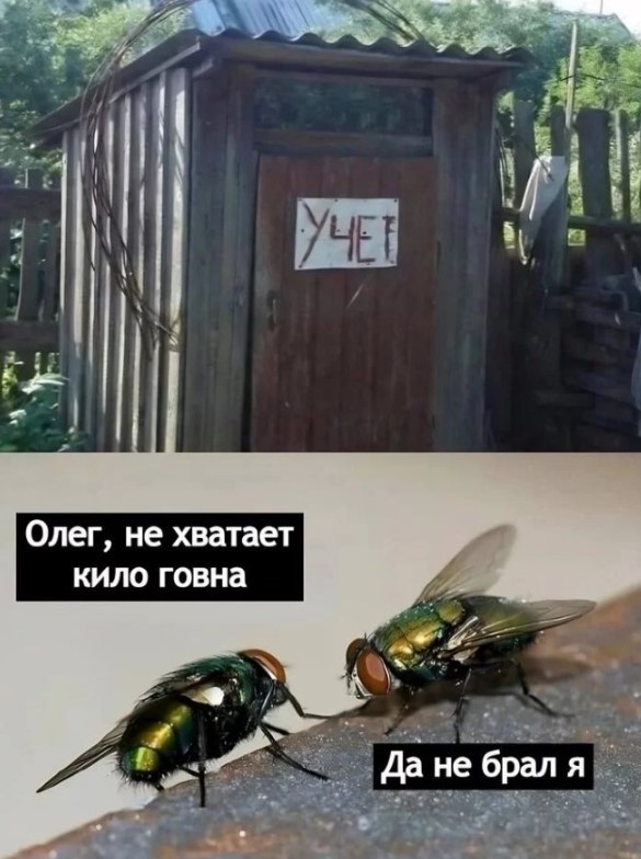 картинка 58f13b1f67 21018823