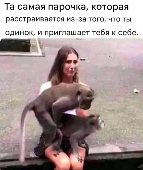 картинка 5c14afd8ac 21001417
