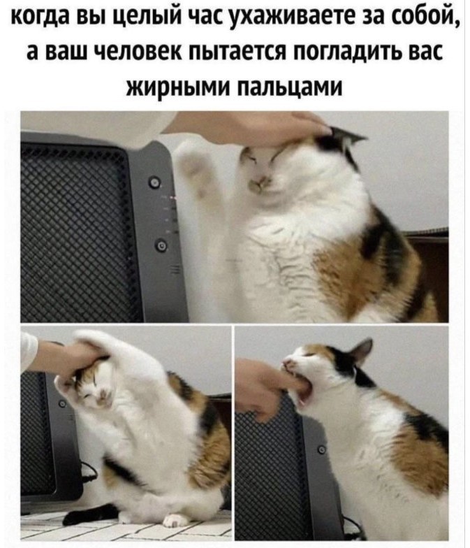 картинка 5c2e571dc1 chernyj jumor bez granic podborka ostryh shutok ne dlja slabonervnyh 8
