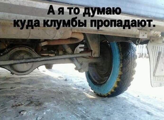 картинка 5c40ca4b8e 00000000000