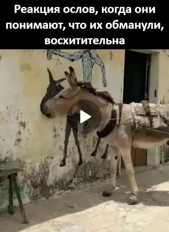 картинка 5e21fcd33b vnimanie ostorozhno vyzyvaet nekontroliruemyj smeh 18
